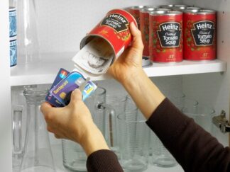 Chameleon Safe - Heinz tomato soup