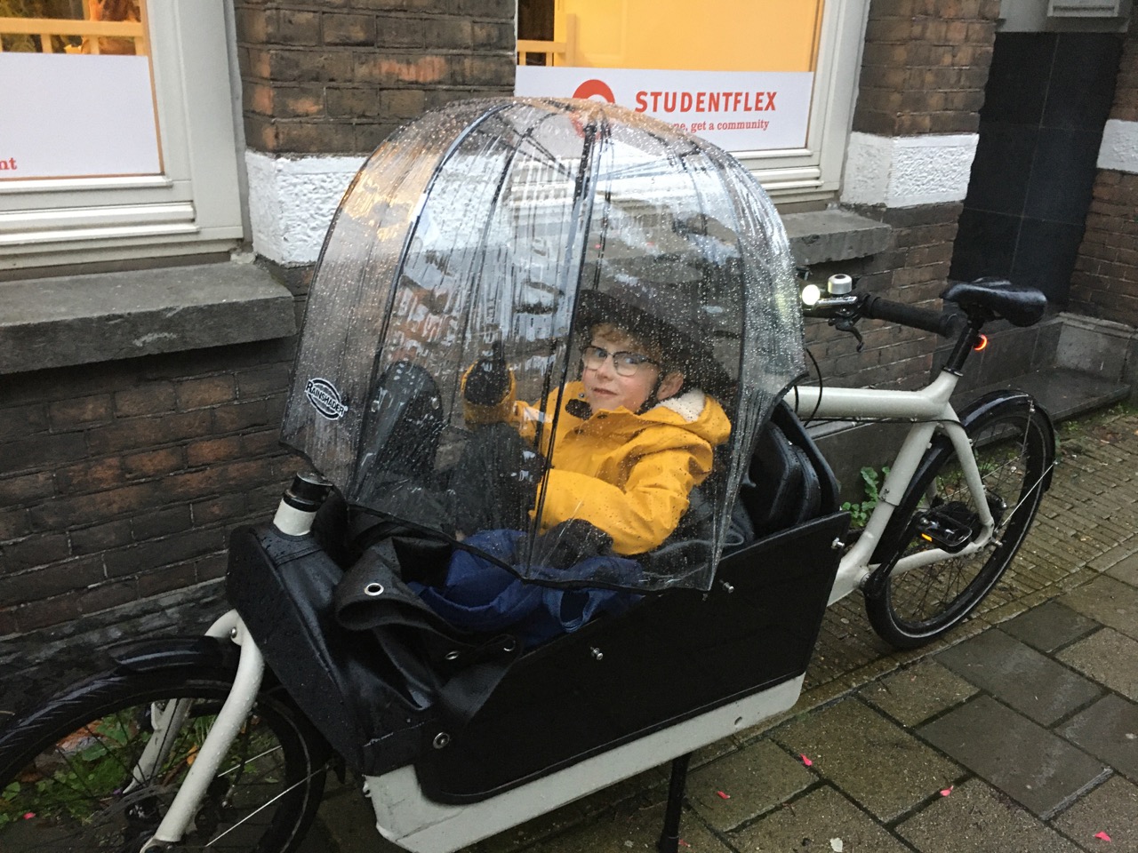 REPLU Sturmfestes Regenschirm - Ice 360 - Transparent – Bild 5